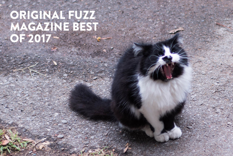 Featured photo for Top 12 Original Fuzz Magazine Interviews of 2017