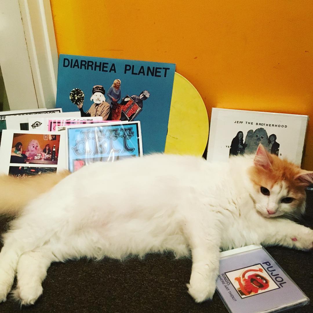 Podcast Episode #36: Infinity Cat Records