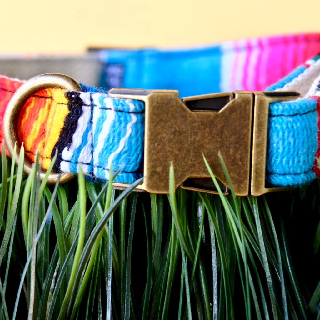 Original Fuzz dog collar made in Nashville with light blue serape fabric.