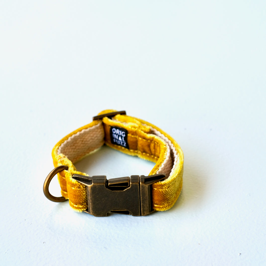 Small Velvet Dog Collar in Yellow