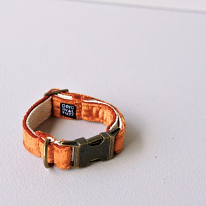 Small Velvet Dog Collar in Orange Product detail photo 0
