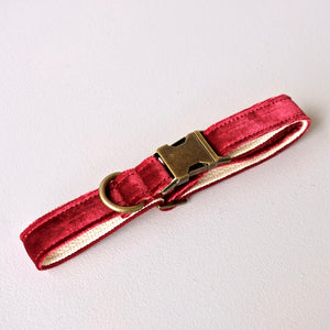 Small Velvet Dog Collar in Burgundy Product detail photo 0